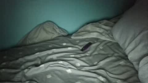 mrbig47xo online show from 02/09/26, 06:28