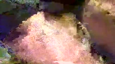 Mr boom online show from 05/04/26, 07:54