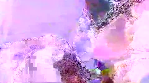 Mr boom online show from 06/05/26, 10:21