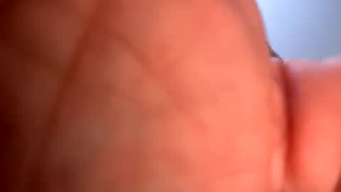 mrfrankfuckforfree online show from 01/19/25, 05:26