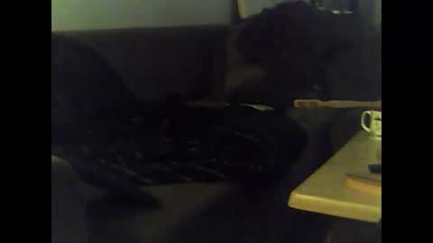 Nikola online show from 01/12/25, 12:01