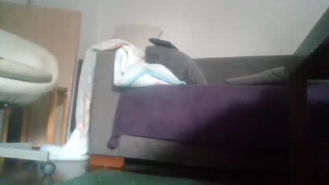 Nikola online show from 10/18/25, 09:54