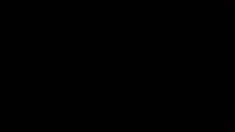 Nikola online show from 04/10/26, 08:41