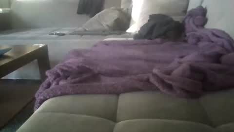 Nikola online show from 04/14/26, 07:36