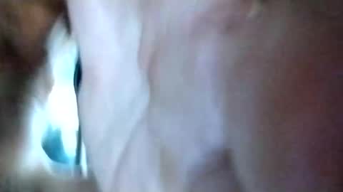 mrhotcock7inch online show from 12/27/24, 08:24