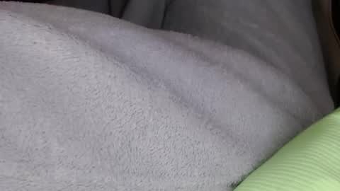 Mister Jean Nemar online show from 01/18/26, 08:12