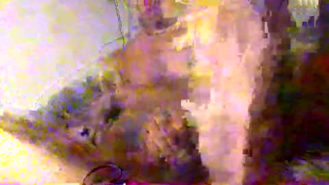 mrkoterz online show from 04/18/26, 10:19