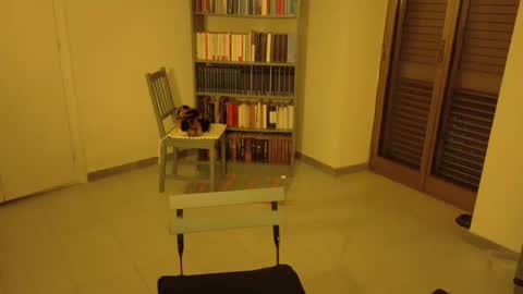 mrkurt86 online show from 11/21/25, 04:49