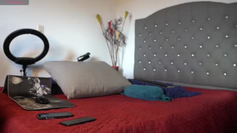 Luis    Instagram   online show from 02/15/25, 08:01