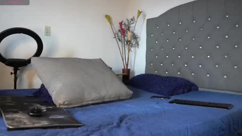 Luis    Instagram   online show from 02/17/25, 04:15