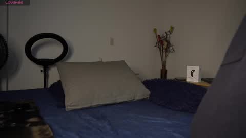 Luis    Instagram   online show from 02/23/25, 07:28