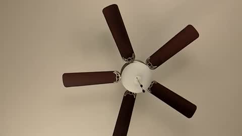 mrorange50187 online show from 01/08/25, 05:48