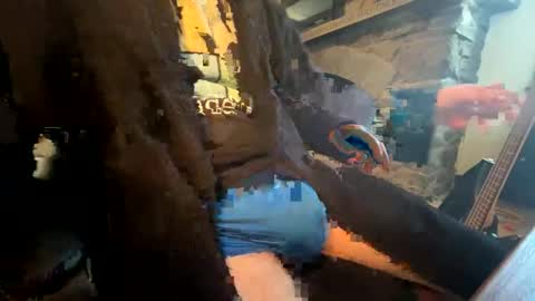 Snapshot of mrprodigy101 chatting on 02/02/26, 08:51 mrprodigy101 online show from 02/02/26, 08:51