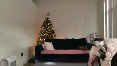 R o r i  SnapChat heyroriv2 wednesday - sunday Noon oclock mountain - 5pm mountain online show from 02/12/26, 04:13