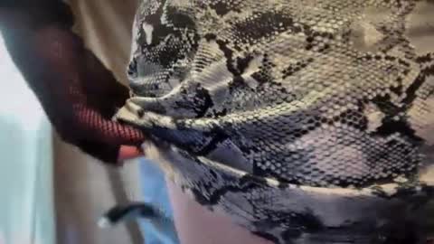 Snapshot of mskarentoy chatting on 10/06/25, 07:55 mskarentoy online show from 10/06/25, 07:55