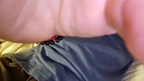 mtnclimber1 online show from 11/19/25, 10:54