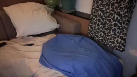 French Brown Cookies online show from 04/18/26, 07:40