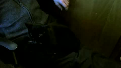 muller520 online show from 03/12/26, 04:02