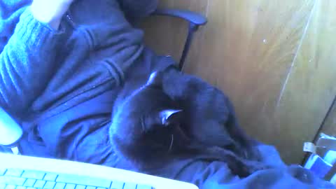 muller520 online show from 04/02/26, 02:26