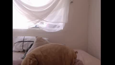   online show from 04/06/26, 06:42