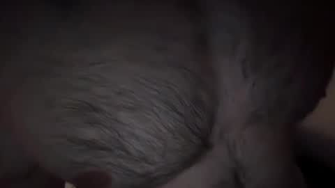 musclehair3 online show from 02/14/25, 09:53