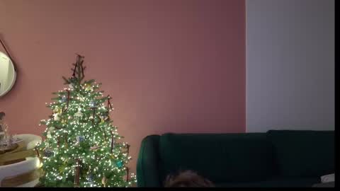 Ivan  online show from 01/22/25, 05:59