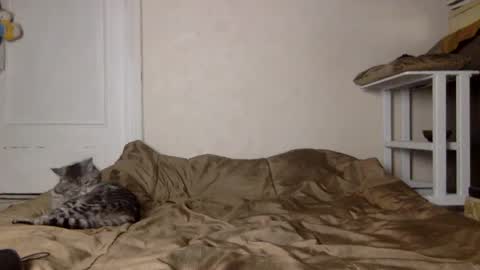 Muse Ali  online show from 12/04/24, 11:41