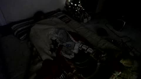 Muse Ali  online show from 12/23/24, 08:00