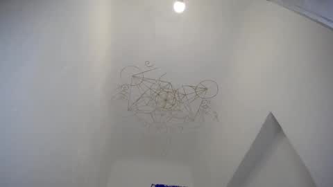 Muse Ali  online show from 12/28/24, 07:44