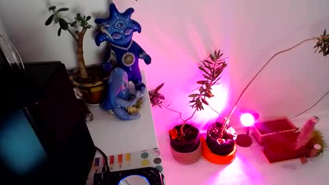 Muse Ali  online show from 12/31/24, 02:14