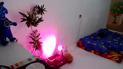 Muse Ali  online show from 12/31/24, 05:18