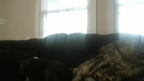 my_banana_creampies online show from 02/19/26, 01:51