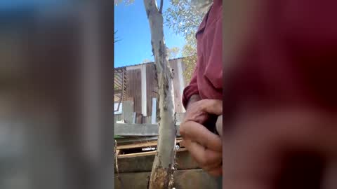 Snapshot of my_cockeye chatting on 03/04/26, 05:13 my_cockeye online show from 03/04/26, 05:13