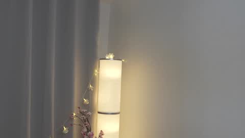 STELLA  Im here today online show from 01/28/25, 03:25