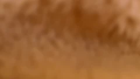 Mya-be Yours P online show from 02/12/25, 09:33