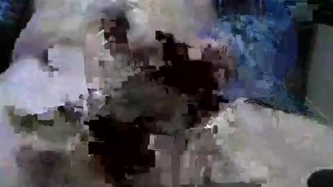 mycock594498 online show from 01/09/25, 03:12