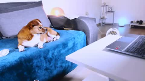 Anda online show from 03/07/25, 01:20