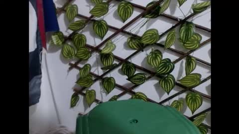 my negrito online show from 03/16/26, 07:51