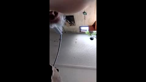 Mynutts online show from 12/16/25, 03:06