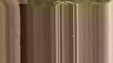 Snapshot of mypleasure001 chatting on 11/12/25, 03:12 Ricky online show from 11/12/25, 03:12