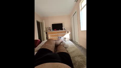 mysterbearmg online show from 09/27/25, 06:46