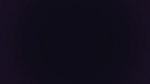 MysteryMonkey online show from 01/11/25, 02:09