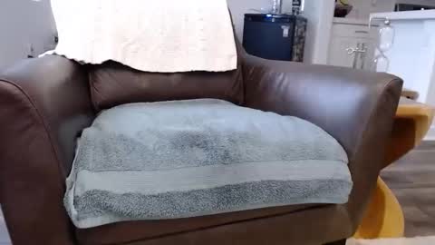 Lynn online show from 11/10/25, 03:55