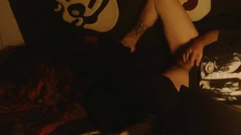 n33koblakk online show from 02/24/25, 06:47