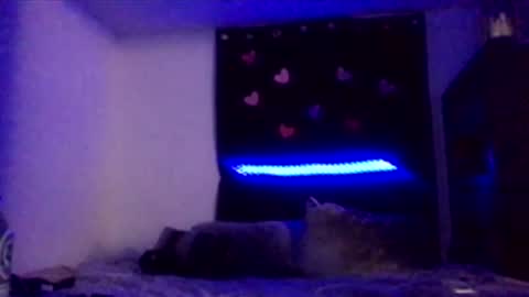 Snapshot of nadiabella07 chatting on 02/15/26, 08:13 Missbellaaaxox online show from 02/15/26, 08:13