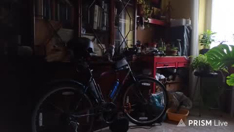 Naked Naturist online show from 02/13/26, 10:44