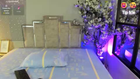 nalapalmer online show from 02/12/26, 07:53