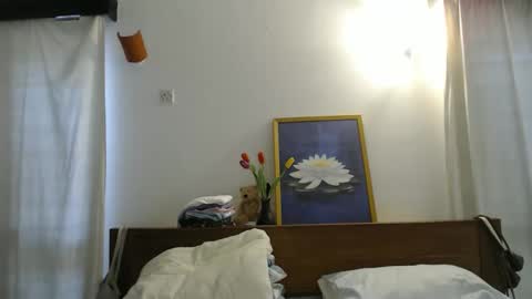 Nana online show from 11/18/25, 07:24