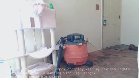 Nanna Baldur online show from 12/16/25, 04:01