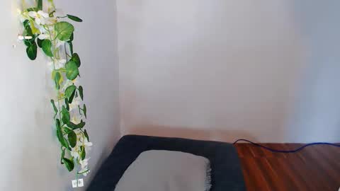 nashdiam online show from 11/30/25, 07:23